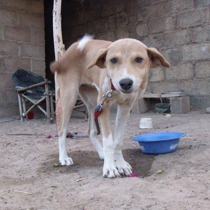 38becab2 a827 4b57 9153 e875692d6947 1550224430387