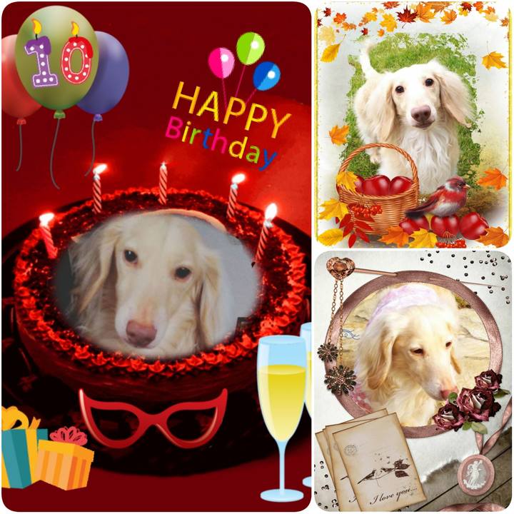 38bed9b5 1bd0 4e9b 9a64 08dc6b6b9595 1605133683621