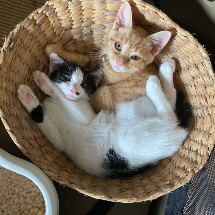 38bee9fb 749f 4d75 8220 d70b43480890 1656666546444