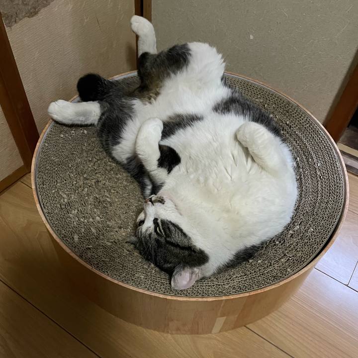 38befb2d b9cd 4a19 8f73 67db1fd58c6a 1681905286869