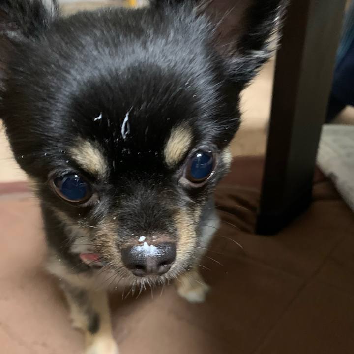 38bf11e7 011e 4fd5 afb5 b70300baf07e 1625631942012