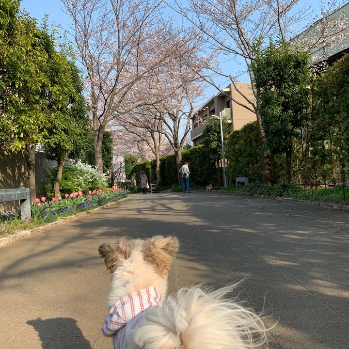 38bf2b32 163d 467e af8a 4f6164e4b8fa 1553816382394