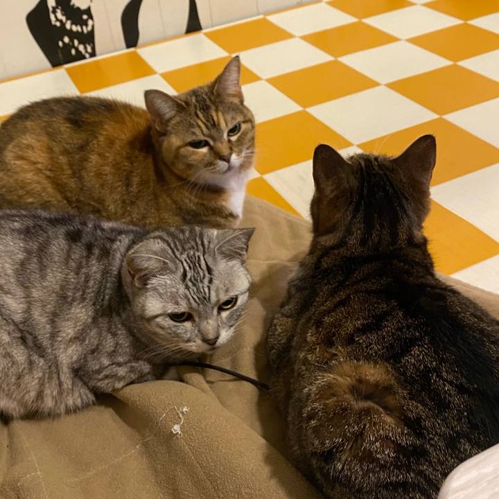 38bf4085 c941 4f55 925a bd0bf8fe8a80 1713797683853