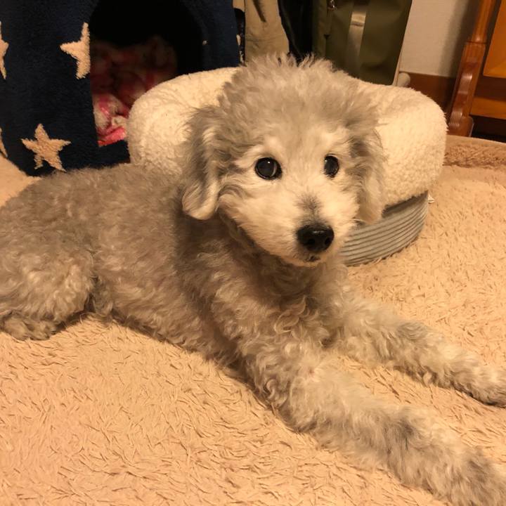 38bf7b01 ca59 4061 92a8 4d4e6fd4702c 1585714418299