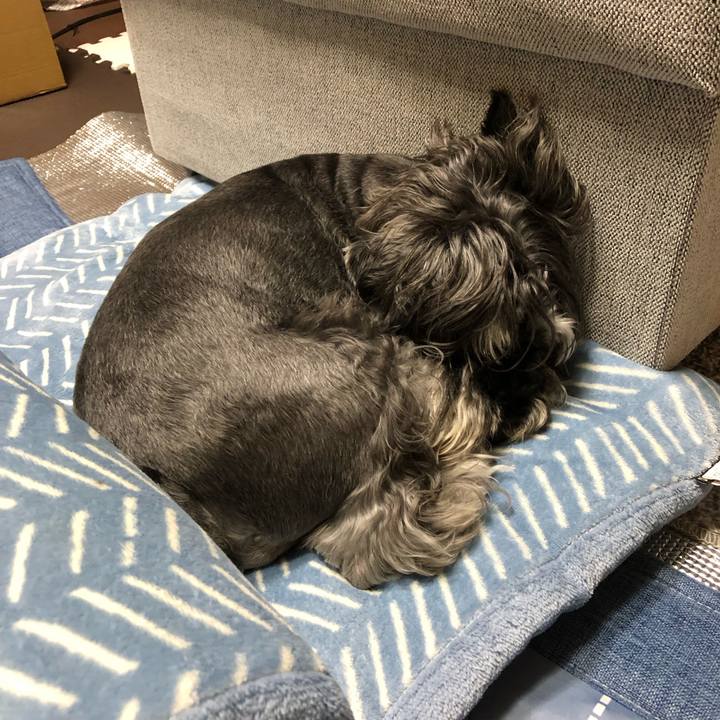 38bf9a81 aec6 4537 be10 e10917c58ea0 1696253661945