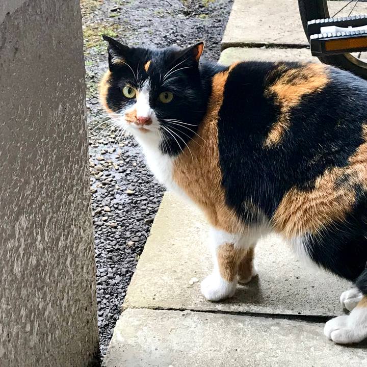 38bfc28c 0f49 452e 912d 2ae8c97842cd 1520661587936