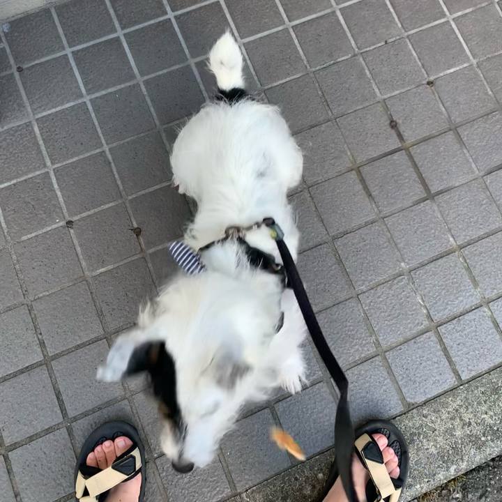 38bfd44f 0740 4961 a58f 2835ee1efce8 1659951466256