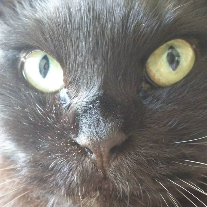 38bfd584 abad 4298 bce7 84977ea792bb 1521327498057