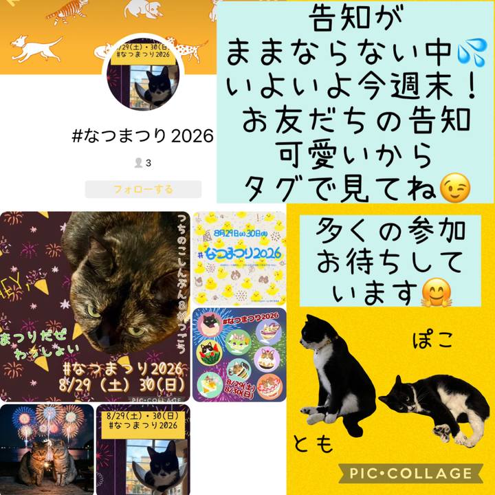 38bfd683 5e01 4d7c b4a1 7035a818779d 1787838689289