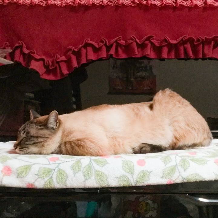 38bfddfb 0ffa 4d82 8394 b8c8c5c0a115 1588324955182