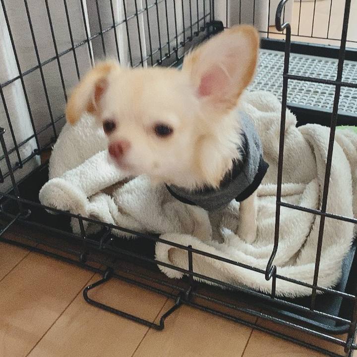 38c016b1 c8a2 4323 af8a bba99557d16b 1606443295462