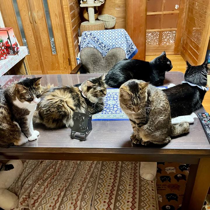 38c04a7d 43d1 409d 965f fd1b4c996009 1745401102266