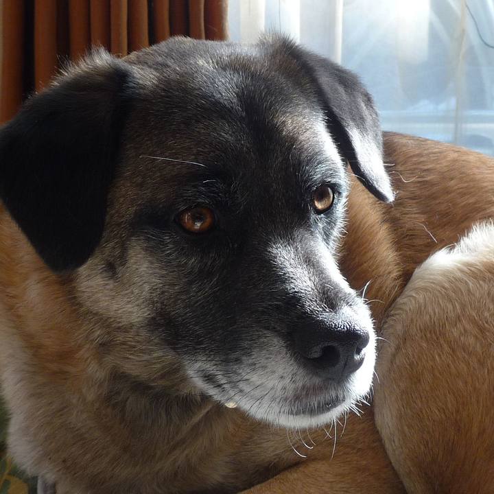 38c05230 6fb8 4ac9 9347 ac5a69fde041 1578523823132