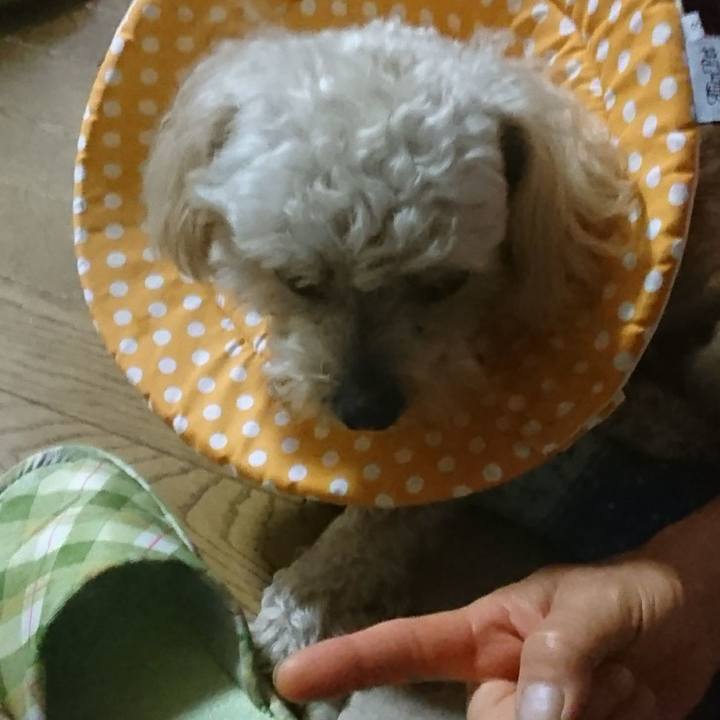 38c058a2 8b68 4d47 9124 54481275b0be 1561647241191