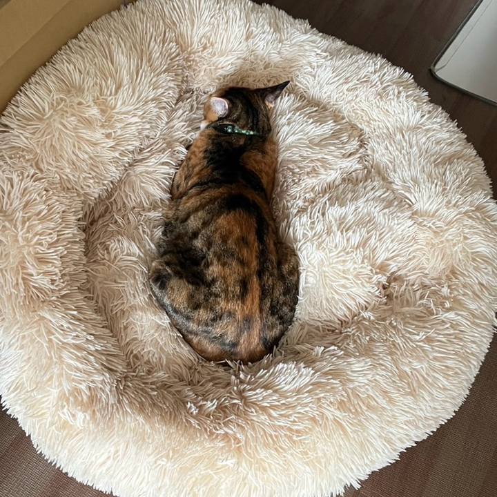 38c06fcc da8e 4fa0 861e 523557f9ed3a 1759913374572