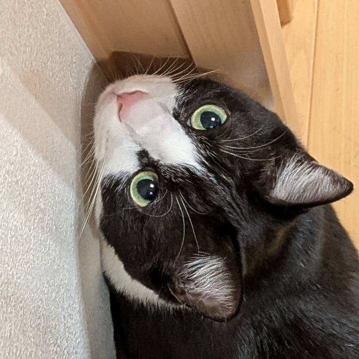 38c08d86 626d 47c6 93af 32f5a6fc838f 1762515230702