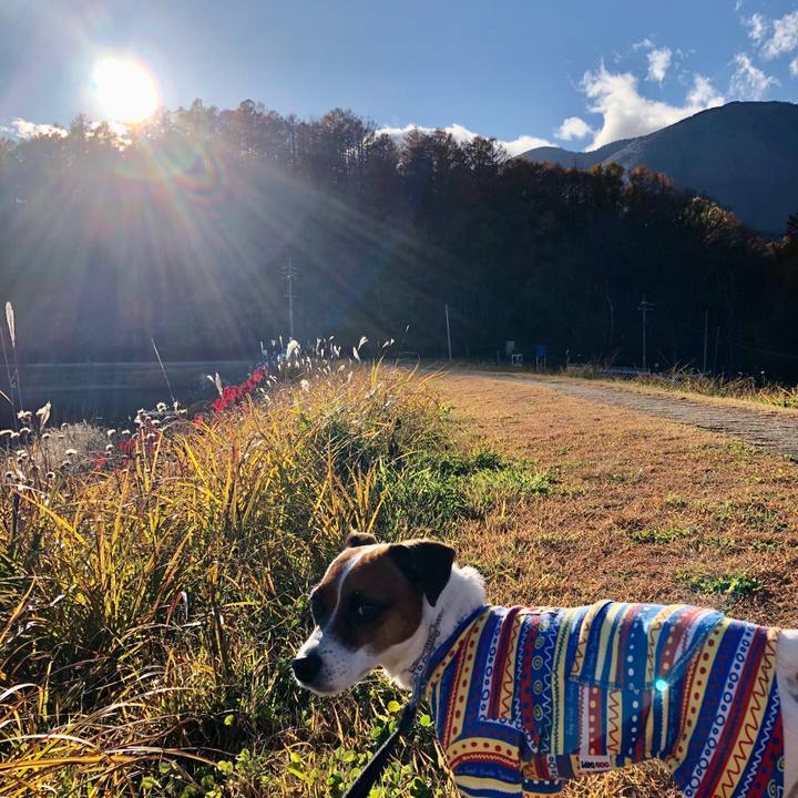 38c09a8a f18d 4ba1 a7e0 eba5140ff1a5 1573728784886