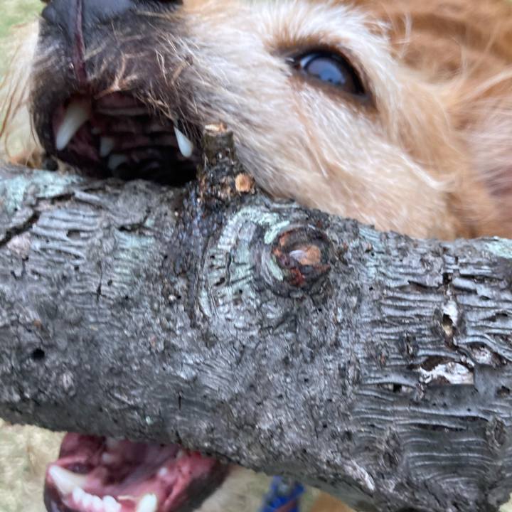 38c0b8d4 85fa 49b9 9bc6 fc62dbd7ec0f 1681803171705