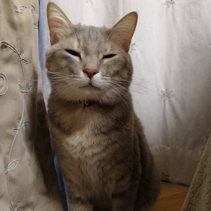 38c0f09b b3ec 4ed3 b9d8 f36e603143ab 1544145487142