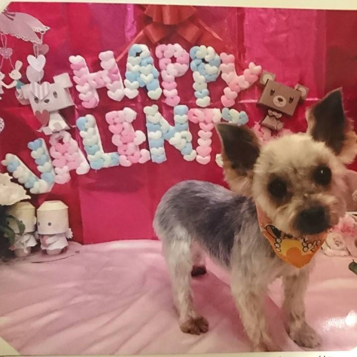 38c10d10 df7e 48e1 bf94 0fa519037856 1518859115049