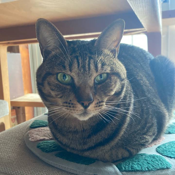 38c1228c f847 4e90 9b8d 340ec7aad1ea 1768201519557