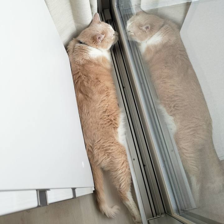 38c12a22 e3cc 4bf9 9ddf ad128ec96058 1691538338642