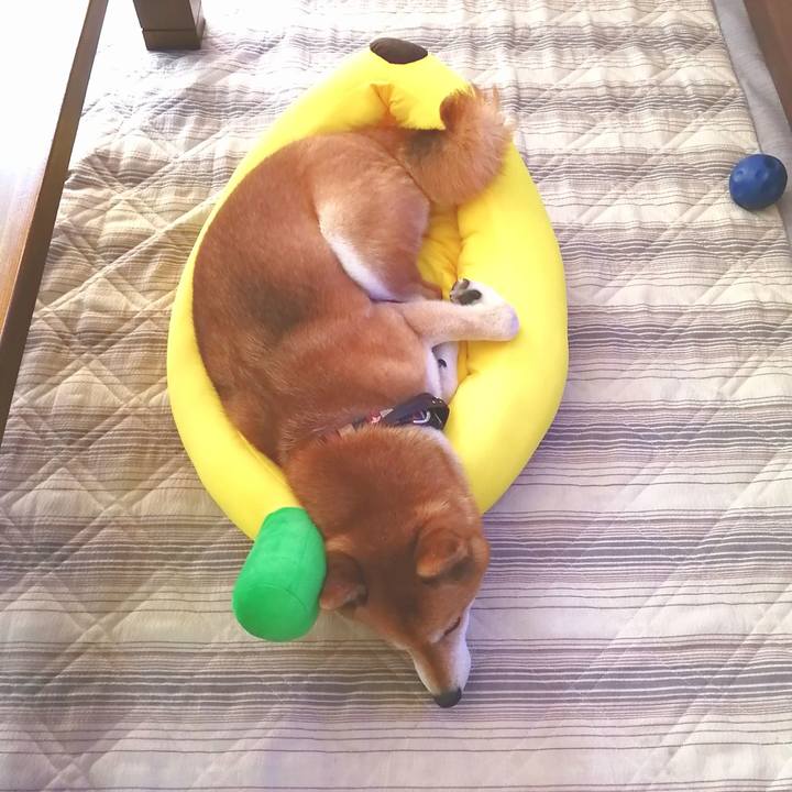 38c14386 0bb2 4752 8b8e 08a9c6c2e151 1658121379969