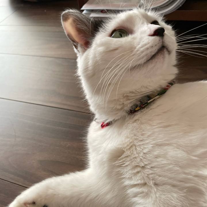 38c14f0f 793a 460a 9ff7 24774b9e22a4 1647069287719