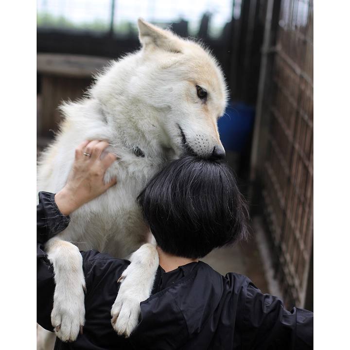 38c15bf8 2876 47f9 901f 46da7056879d 1596025191201