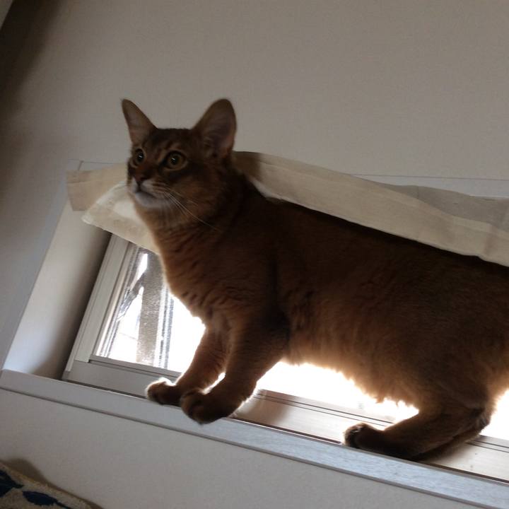 38c17d70 a65e 4d20 ad4d 7453e658570b 1585003084594