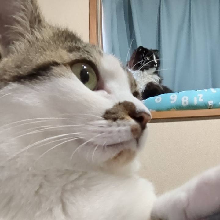 38c17fb6 aa2c 4d5a a163 88f40596a33d 1680678741685