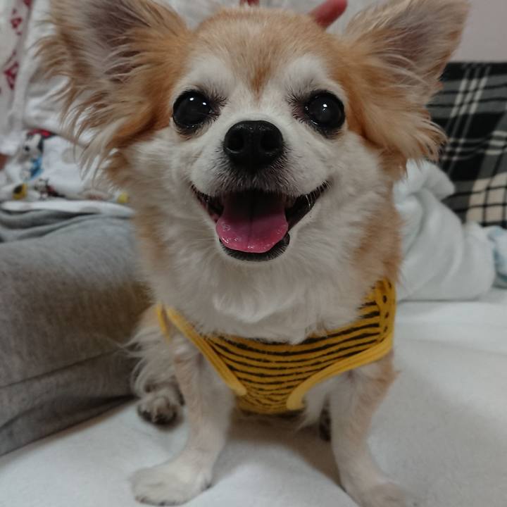 38c1802d d025 4139 9c37 5c49bce53fab 1547652265671