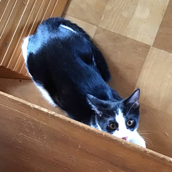 38c1a317 e184 4c00 91b6 d6e2c81bf75f 1630027007115