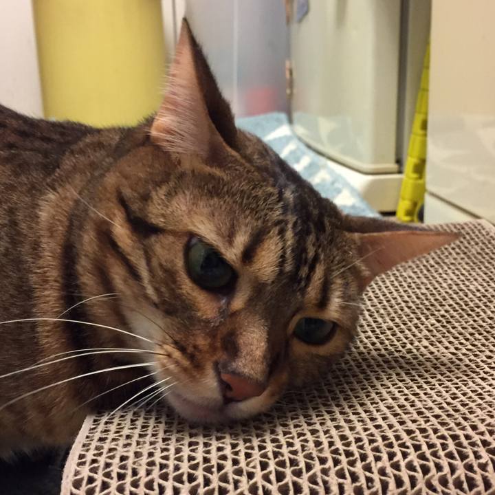 38c1a781 f4c5 4a45 bb6e f55a05458e65 1536104481822