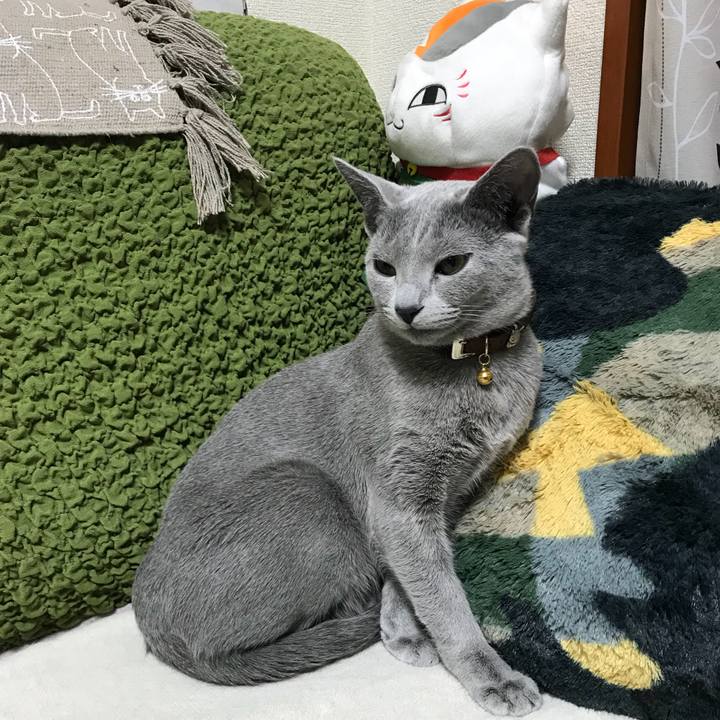 38c1b1c6 9a50 4691 80dc f5a196df3120 1517309394785