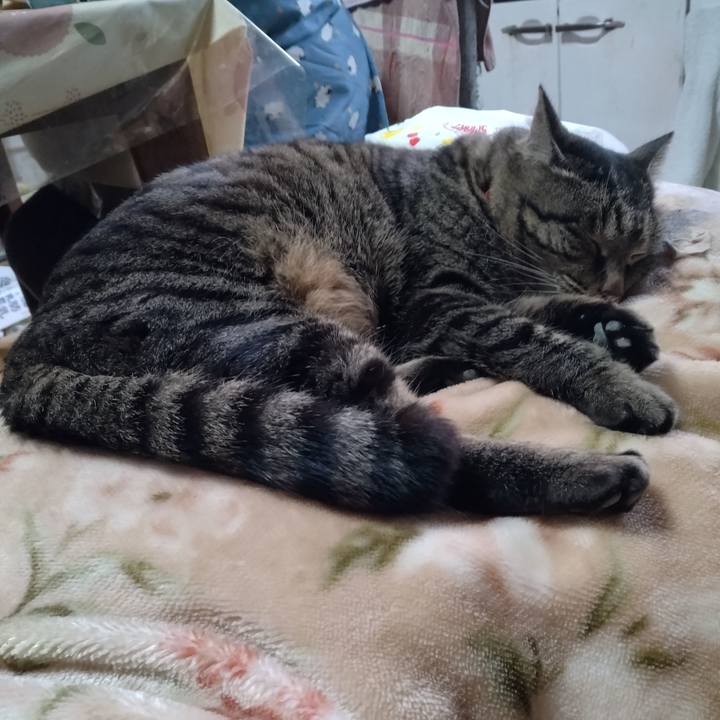 38c1bbcf 45d8 44b9 9a77 04e2ca9dedfb 1674173620757