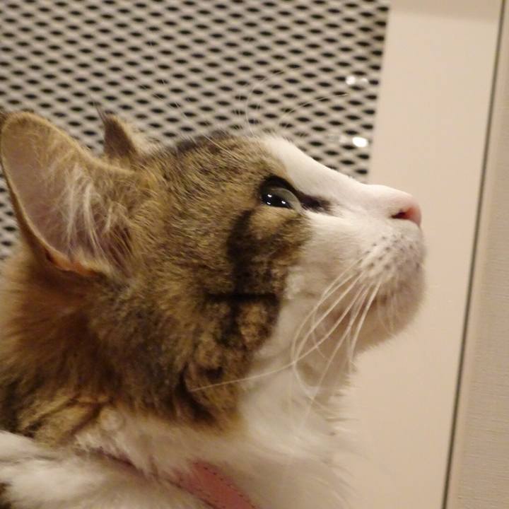 38c1d40b 7918 4157 a1cd 12d90c66e905 1535116046790