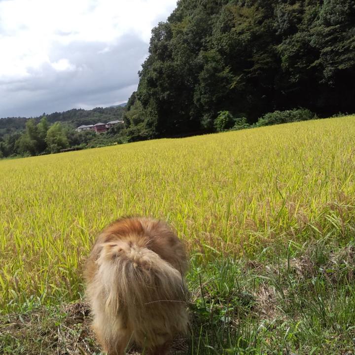 38c1ebfa 9b9c 40f7 9fcf 42bfd6287b2c 1569664030384