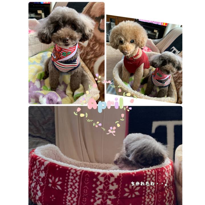 38c21fe4 041b 485c bf6a 6b5bde7514bb 1585806034580