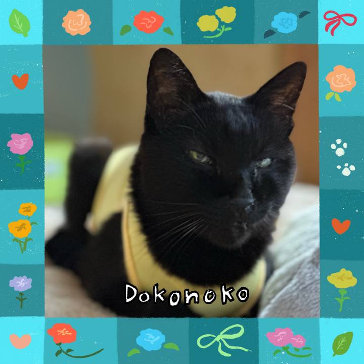 38c2377c e47c 4433 a905 80370259b04f 1715046742449