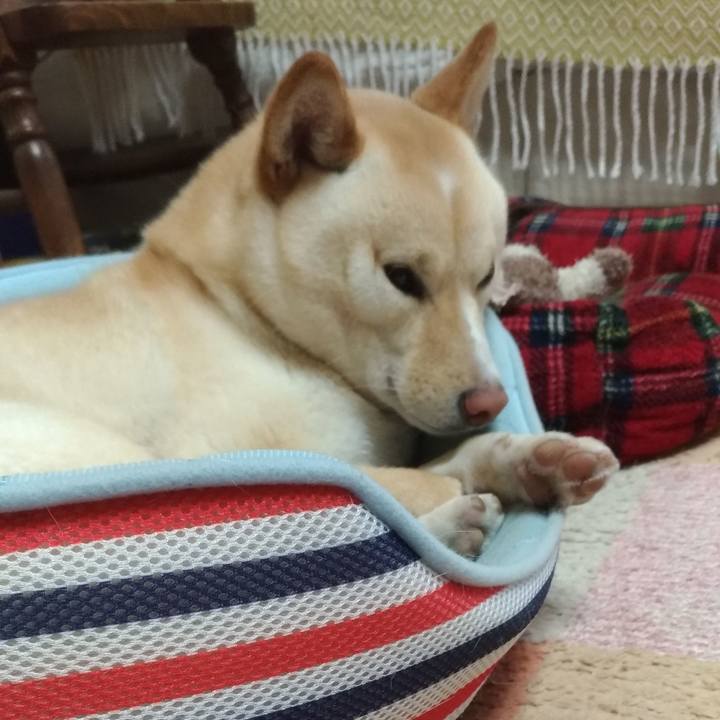 38c24901 273c 4f92 9148 7020ca66c827 1556239467400