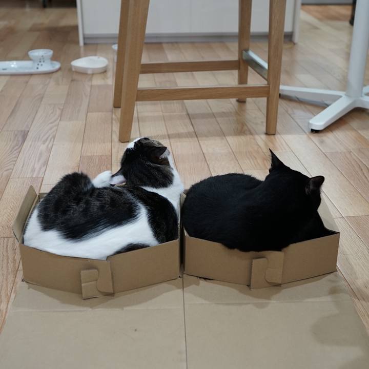 38c24c05 014b 4b65 a1af 09f93c80ddfd 1558654796420