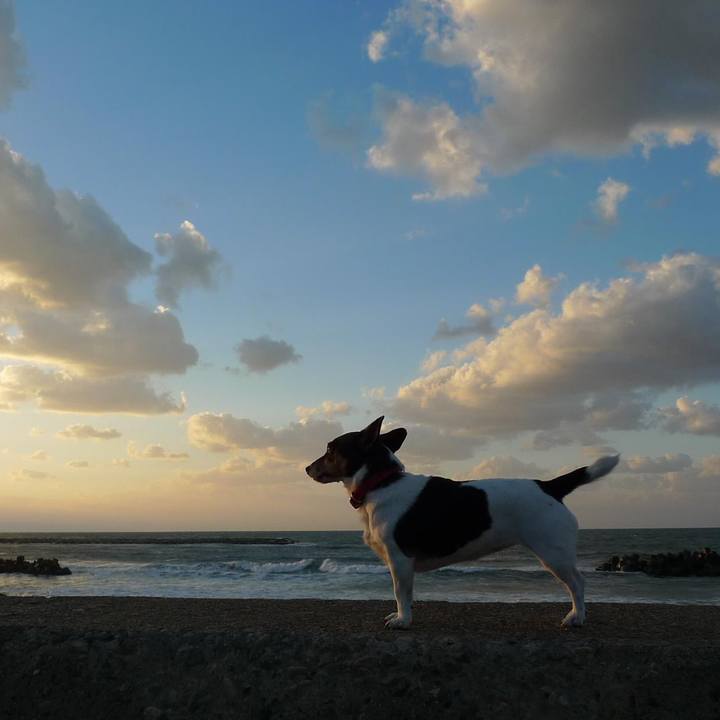 38c24f6a 14db 4962 9a47 bdf702109d9b 1603020507030