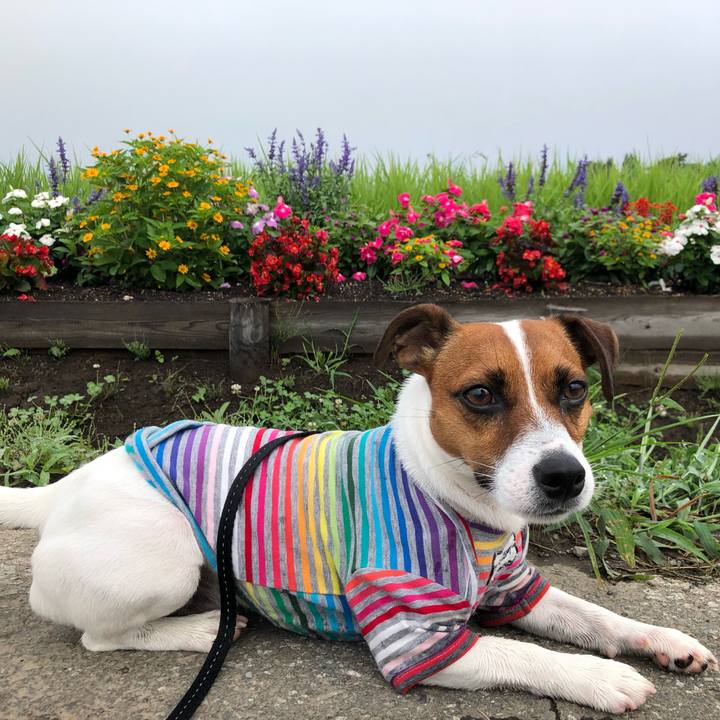 38c25b37 c9a4 4e53 ac08 902bac9bcecb 1566345626687