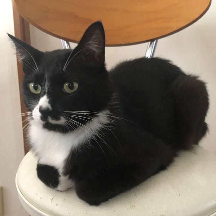 38c26cb6 da76 43ce b606 d772f984fe48 1662349127451