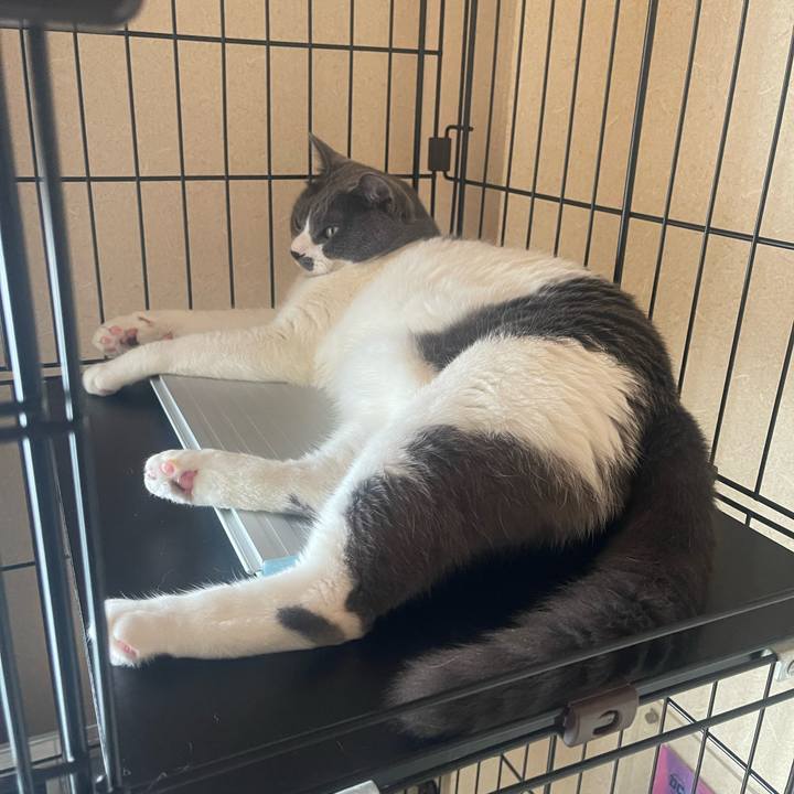 38c2834a 118b 44ab b068 c05c0e72aade 1722298269381