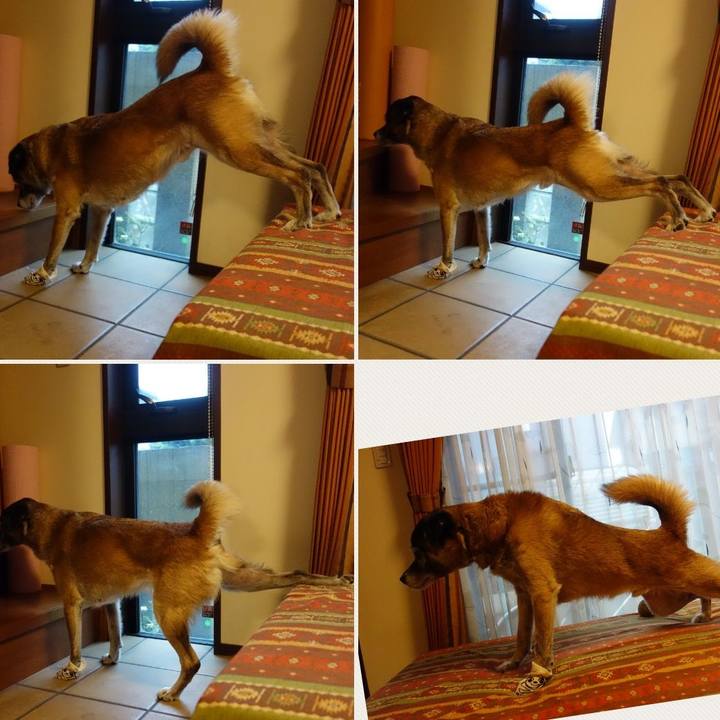 38c2b532 d970 41d8 b253 da78e763c040 1535848670872