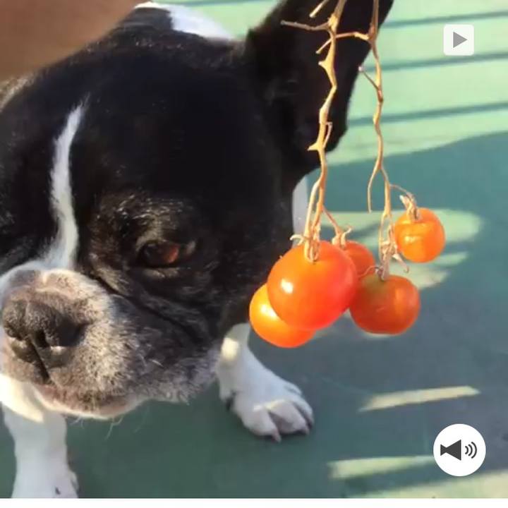 38c2b72f 2f71 43c8 84d1 52136df0dad8 1528184723202