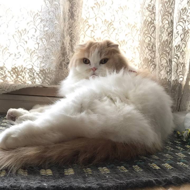 38c2fb70 8f6b 4dc1 a069 6bf4a67a237f 1544276900332