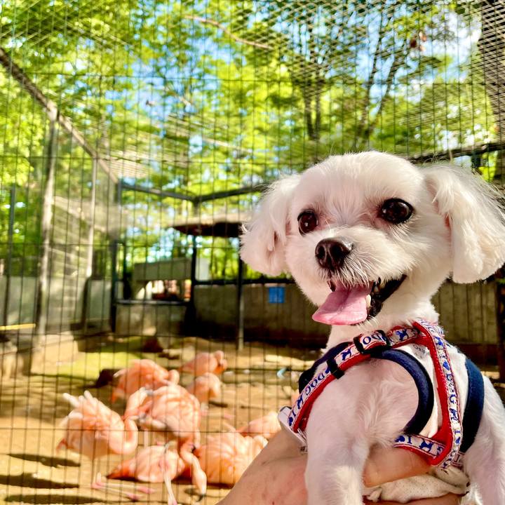 38c2fbb8 42d4 44f5 8183 91340edf2abc 1621214050447